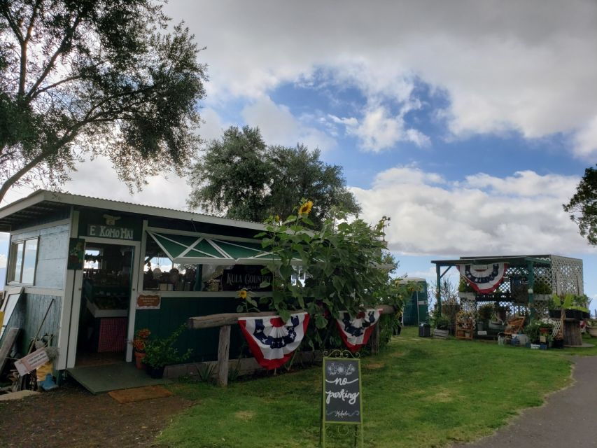 Maui: Road to Hana Adventure With Breakfast & Lunch