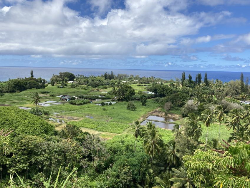 Maui: Sightseeing & Photography Tour Along the Road to Hana - Good To Know