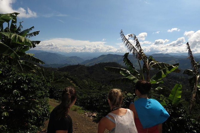 Medellín Coffee Tour to Concordia - Good To Know