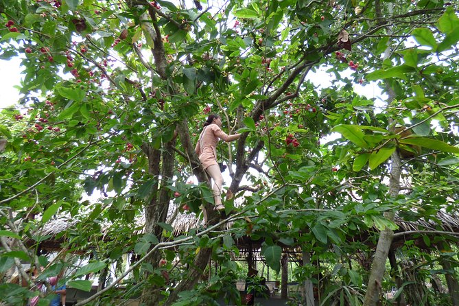 Mekong Delta Exploring Full Day Trip - Bến Tre Province: The Coconut Kingdom