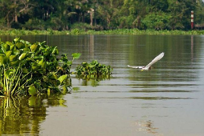 Mekong Delta Full Day by Speed Boat - Good To Know