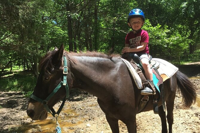 Memphis Horseback Trail Ride Tour