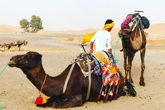 Merzouga Desert and Dades Small-Group Tour From Marrakech - Pricing and Guarantee