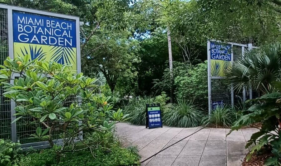 Miami: City Tour & Cruise of Biscayne Bay - Good To Know