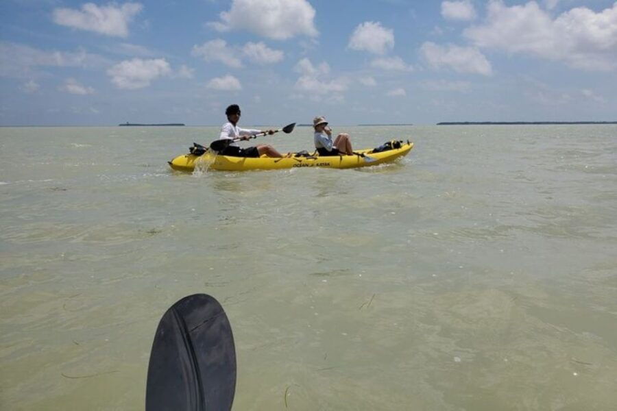 Miami: Everglades National Park Hiking and Kayaking Day Trip - Good To Know