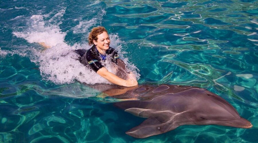 Miami: Swim With Dolphins Experience With Seaquarium Entry - Good To Know