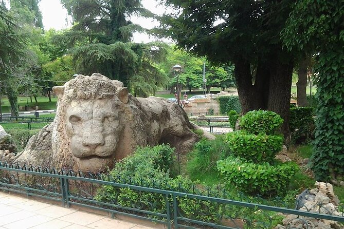 Middle Atlas Mountains, Cedar Forest and Azrou Day Trip From Fez - Traveler Photos and Reviews