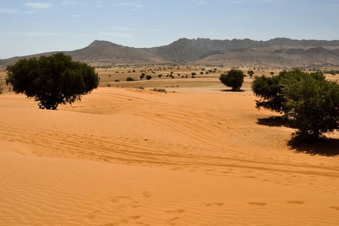 Mini Sahara Atlantic Ocean Jeep Tour With Lunch