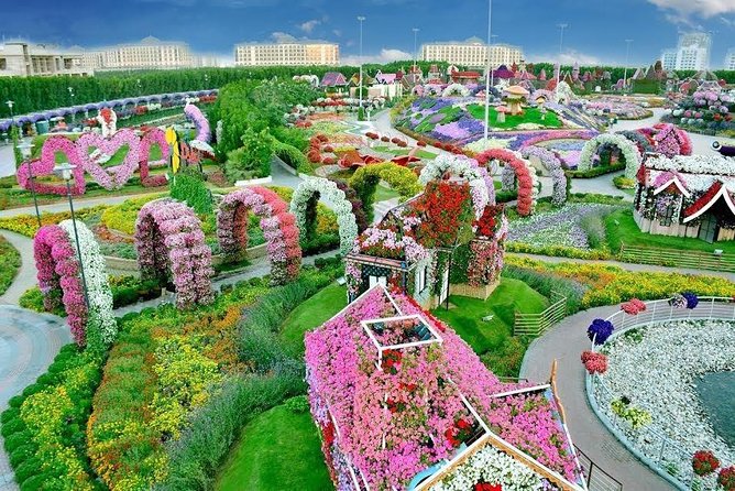 Miracle Gardendubai Frame With Sharing Transfers - Transportation Options for Miracle Garden and Dubai Frame