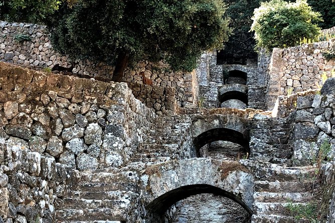 Miramar and Sóller Valley Day Trip: Self-Drive or Minivan Tour  - Mallorca - Traveler Photos and Reviews
