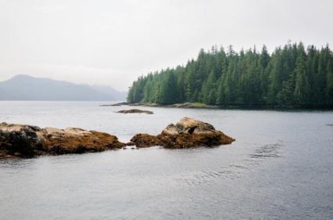 Misty Fjords Seaplane Tour - Good To Know