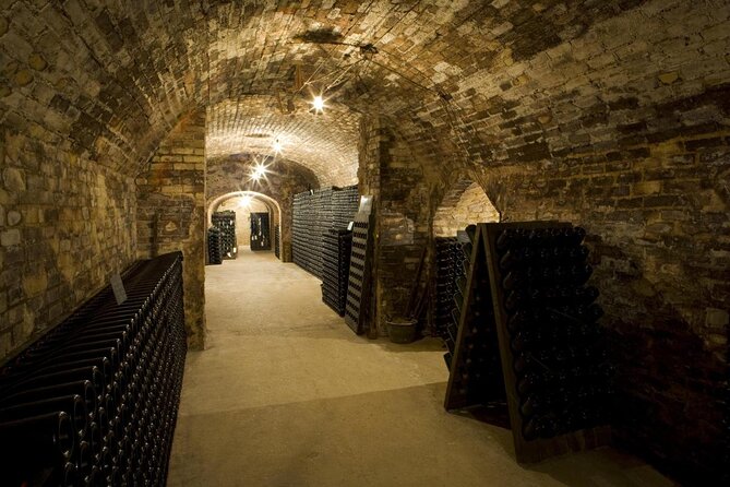 Moet Et Chandon Tasting and Fun Private Tour in Champagne - Good To Know