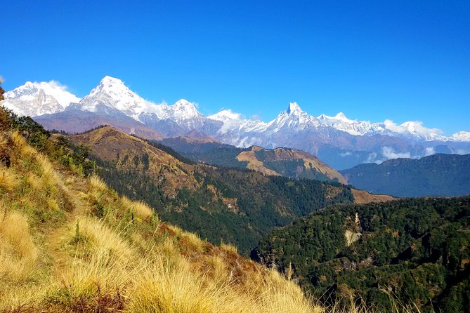 Mohare Danda Trek World Best Natural Trail - Good To Know