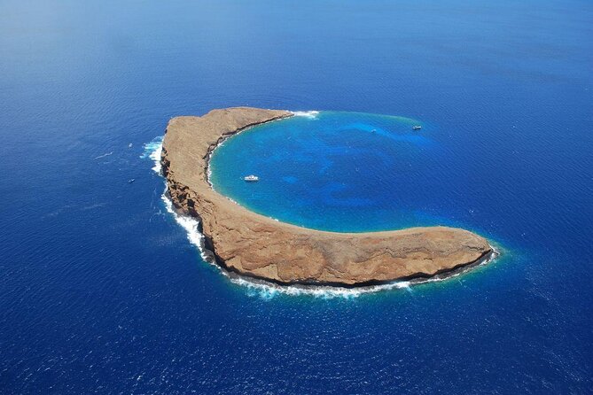 Molokini Crater Zodiak Adventure Snorkel and Turtle Cove Swim - Good To Know