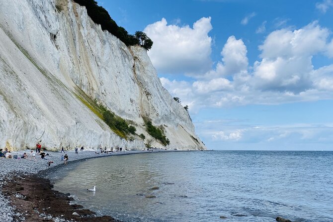 Møns Klint and the Forest Tower - a Day Tour From Copenhagen - Good To Know