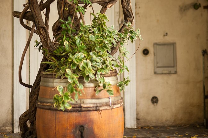 Montmartre Semi Private Walking Tour - Meeting Point and Cancellation Policy