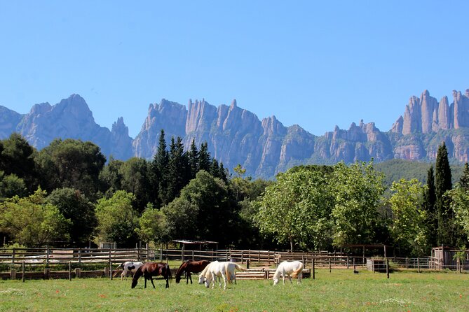 Montserrat Monastery & Horseback Riding - Meeting and Pickup Details