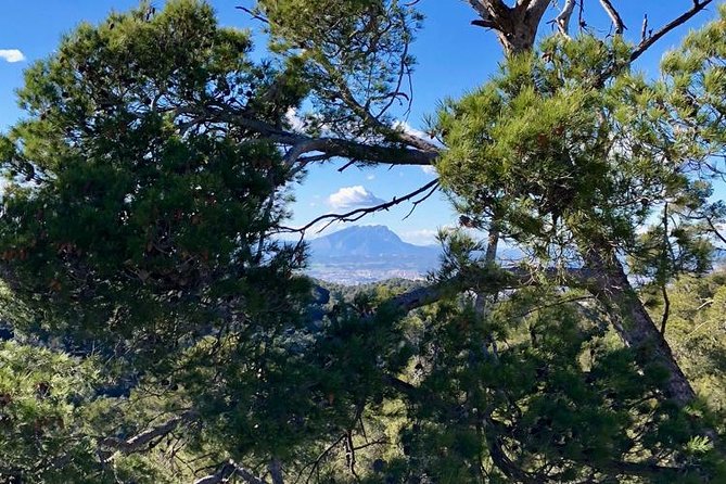 Montserrat Monastery Y Montaña - Tour Privado - Overview and Location