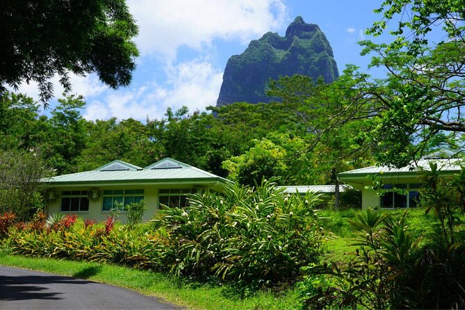 3 Best Safari Tours In Moorea