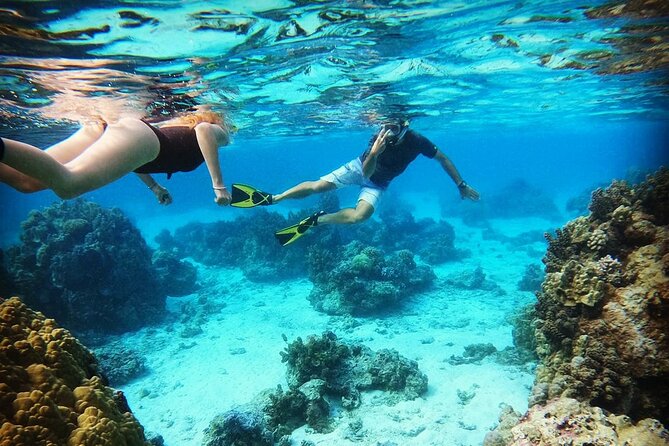2 Best Snorkeling Experiences In Papeete