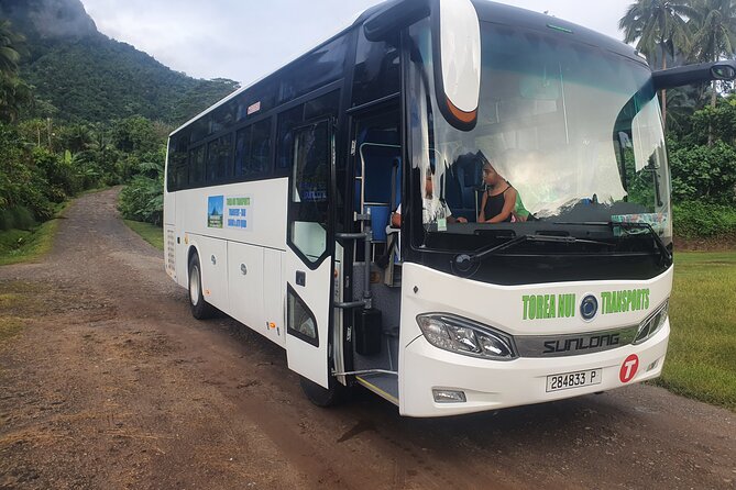 Moorea Island Tour