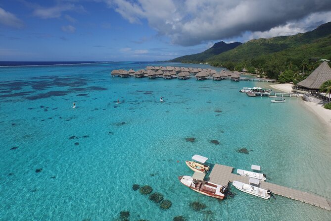 20 Best Snorkeling Experiences In Moorea