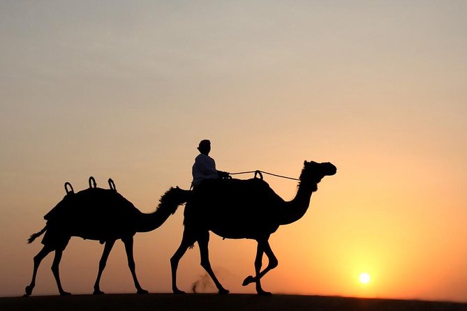 Morning Camel Trekking Experience - Good To Know