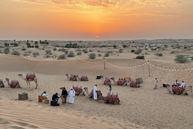 Morning Combo Safari in Dubai - Good To Know