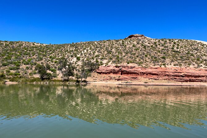 Morning Cruise on the Murchison River in Kalbarri (April to Nov)