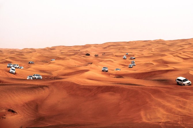 Morning Desert Dune Bashing Safari - Good To Know