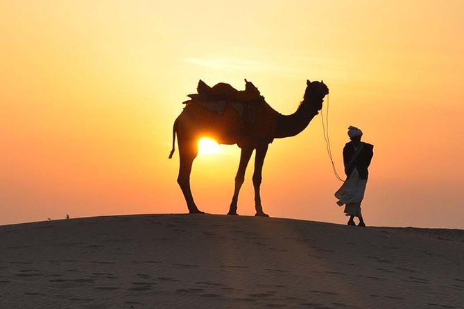 Morning Desert Safari - Good To Know