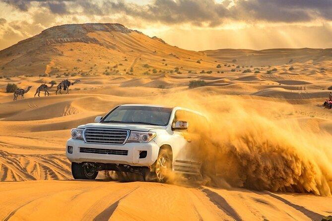 Morning Desert Safari Dubai: Dune Bashing,Sand Boarding,Camel Ride - Good To Know
