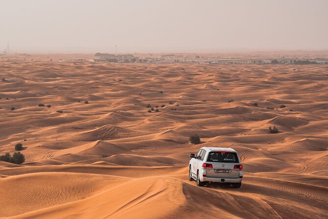 Morning Desert Safari With Dune Bashing, Camel Ride, Sand Boarding - Good To Know