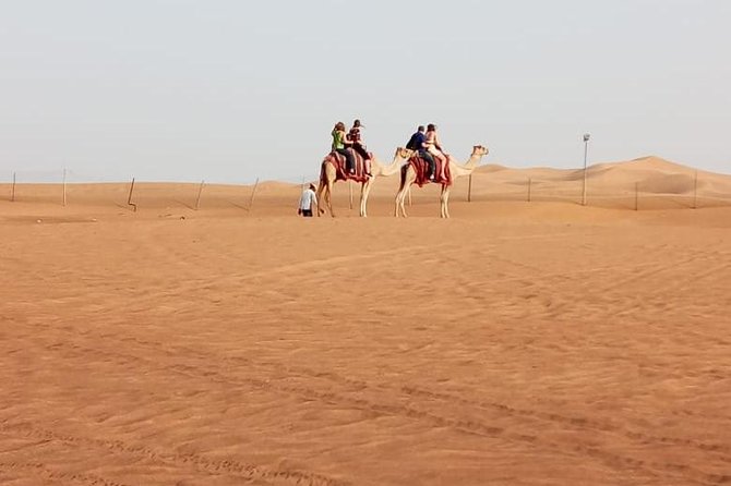 Morning Desert Safari With Quad Biking, Camel Riding and Dune Bashing - Good To Know
