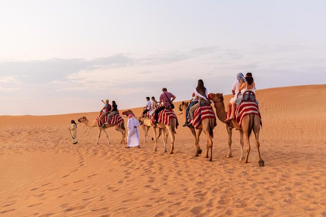 Morning Desert Safari With Sand Boarding Camel Ride & ATV Quad Bike Ride