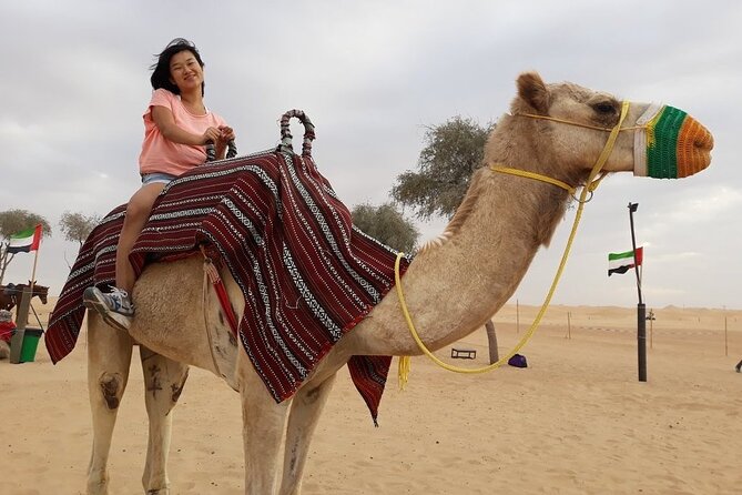 Morning Dubai Desert Safari - Camel Rides, Quad Bikes, Dune Buggies,Dune Bashing - Tour Overview