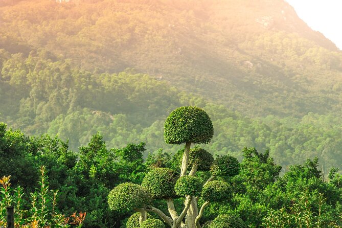 Morning Hike and Sunrise in Krabi With Your English-Speaking Guide - Good To Know