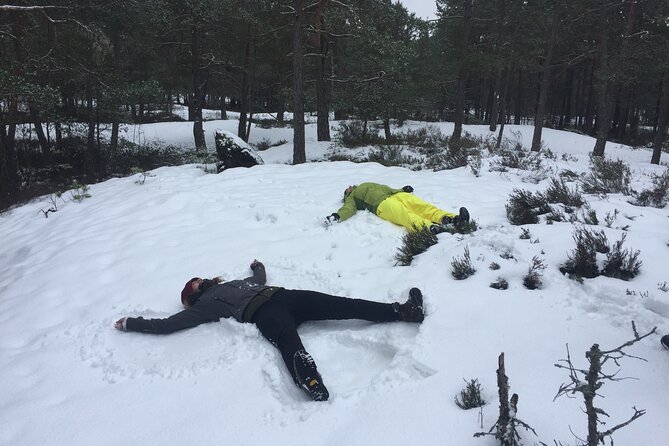 Morning Hike in Nacka Nature Reserve - Good To Know