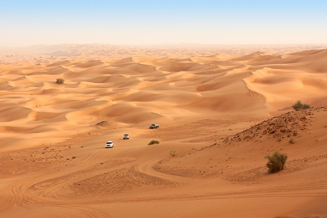 Morning Safari in Abu Dhabi - Good To Know