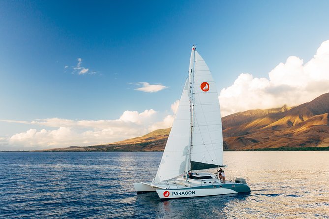Morning Sail With the Whales Maalaea