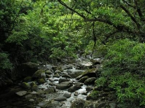 Mossman Gorge Daintree Rainforest Daintree River Crocodile Cruise