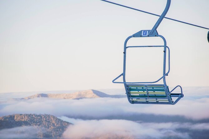 Mount Buller 1 Day Guided Tour