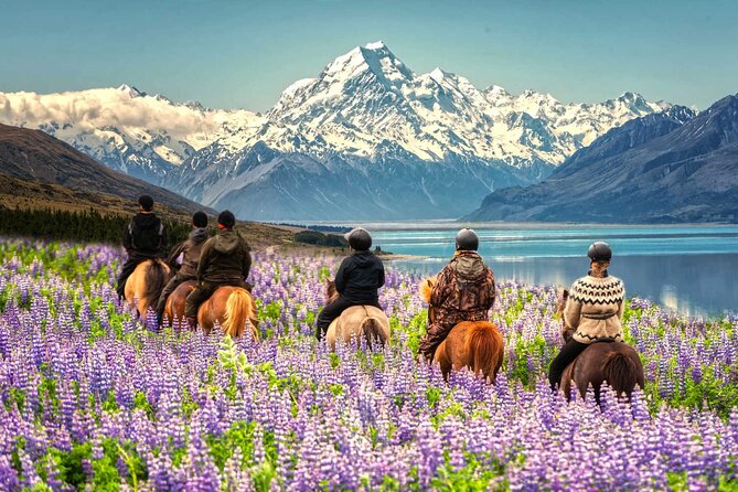 Mount Cook Return Day Tour via Lake Tekapo From Christchurch