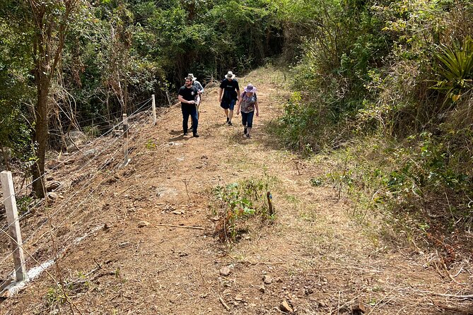 Mount Healthy National Park Private Hike Tour in Tortola - Overview and Details
