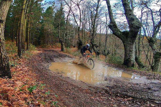 Mountain Bike for All Levels, in the Basque Heart