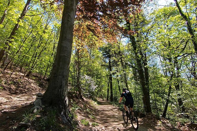 Mountain Bike Tour in Spina Verde Natural Park
