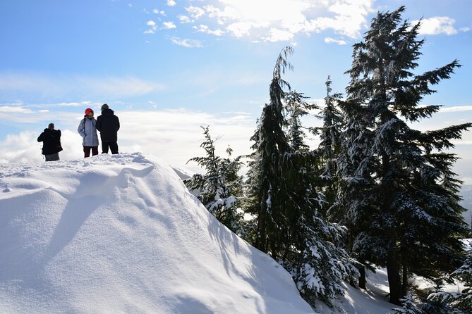 Mountain Snowshoeing & Photography - Good To Know