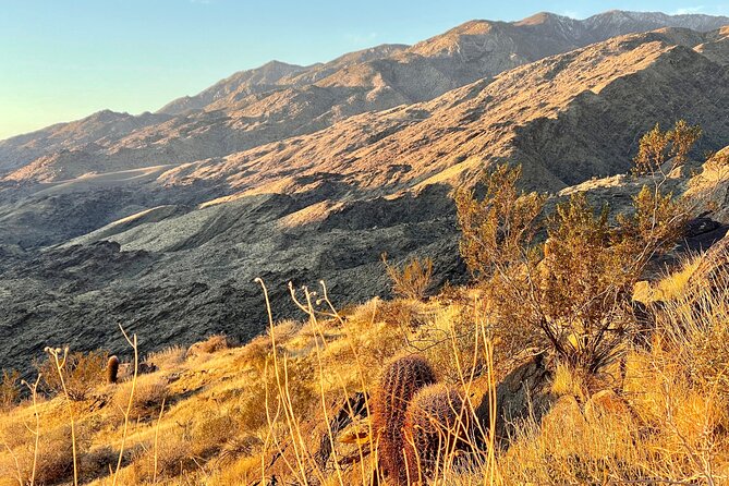 Mountain Sunrise Hike and Meditation in Palm Springs - Good To Know
