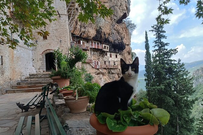 Mountain Villages of Peloponnese, Monasteries and Lousios River Private Day Trip - Good To Know