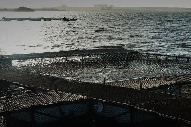 Mouth Water Caviar - Types of Caviar